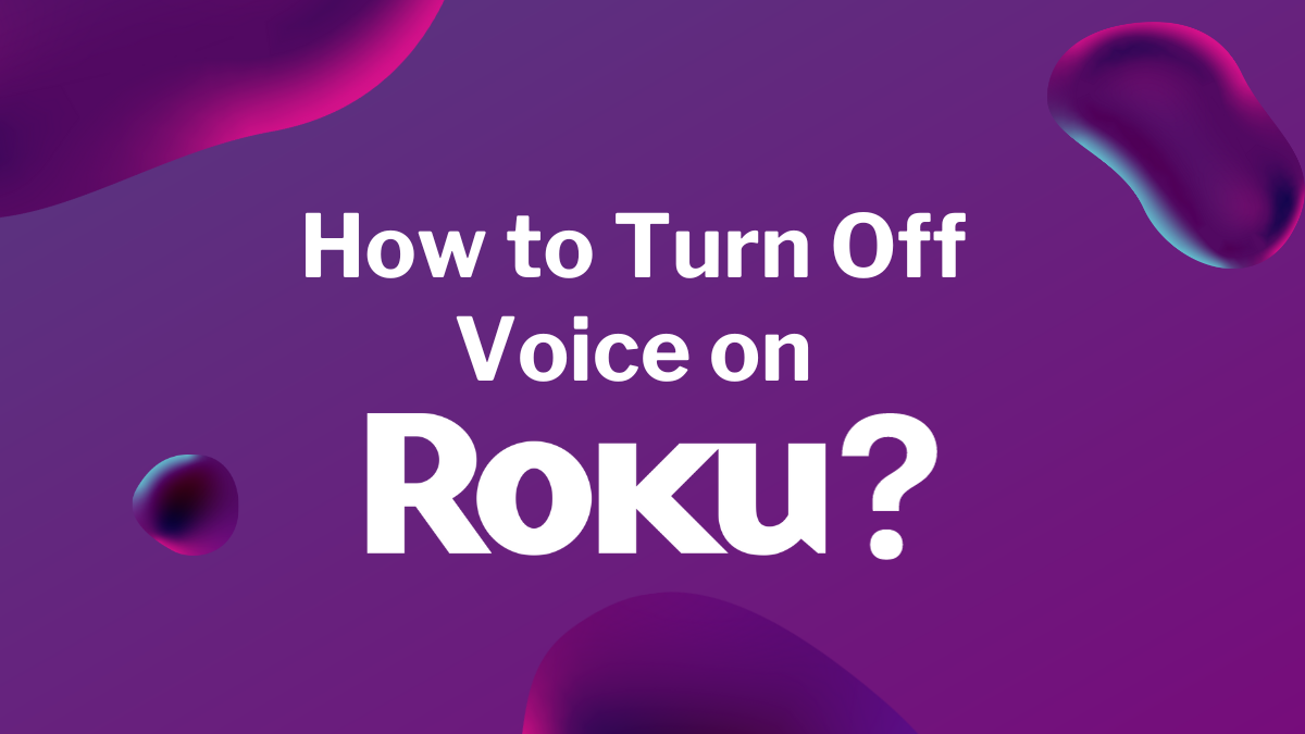 How to Turn Off Voice on Roku