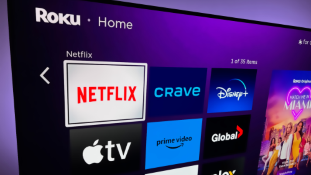 Understanding the Roku ecosystem